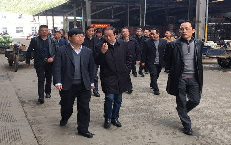 2017年3月16日下午，嘉興市委常委、常務(wù)副市長樓建明帶領(lǐng)市級相關(guān)部門負(fù)責(zé)人視察嘉興蔬菜批發(fā)市場
