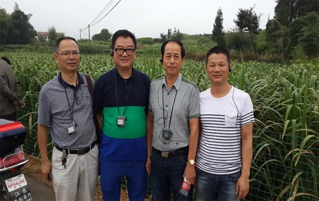 2014年8月，中國蔬菜流通協(xié)會會長戴中久與公司、市場領(lǐng)導(dǎo)一起考察蔬菜基地