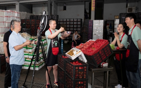 人間煙火氣，最撫凡人心  ---“嘉昕小廚房”本期主角：番茄！